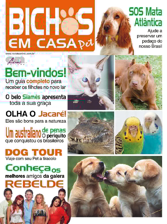 Bichos em casa Bichos em casa