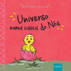 Universo numa casca de nós