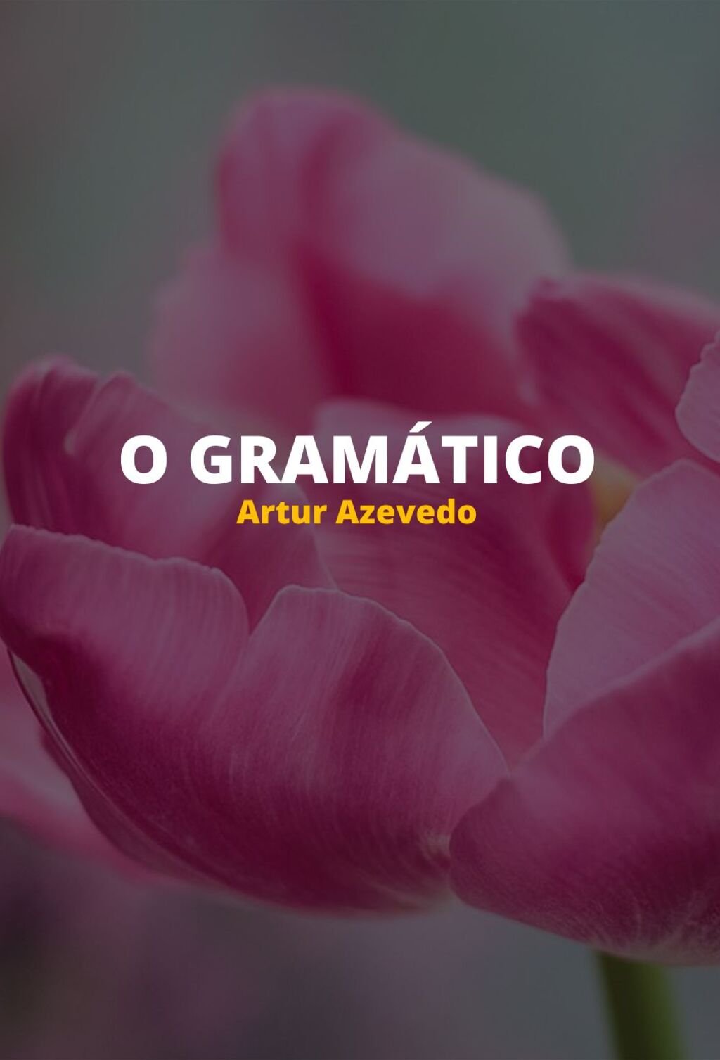 O Gramático