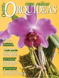 Como Cultivar Orquídeas