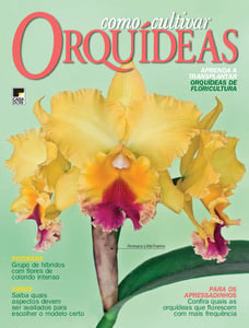 Como Cultivar Orquídeas