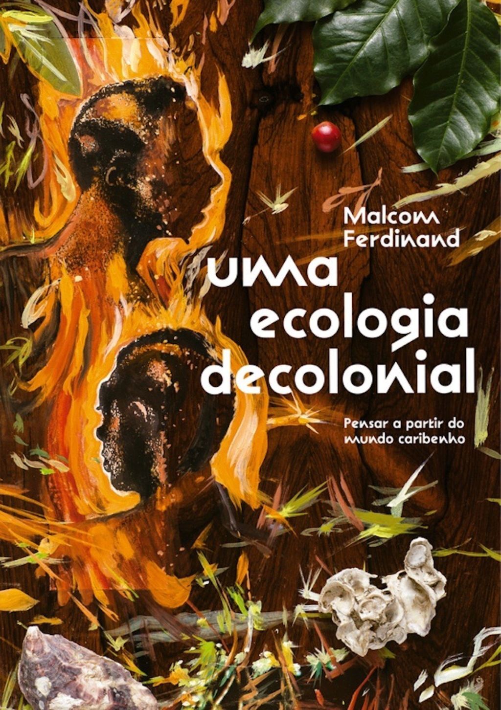 Uma ecologia decolonial