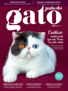 Pulo do Gato