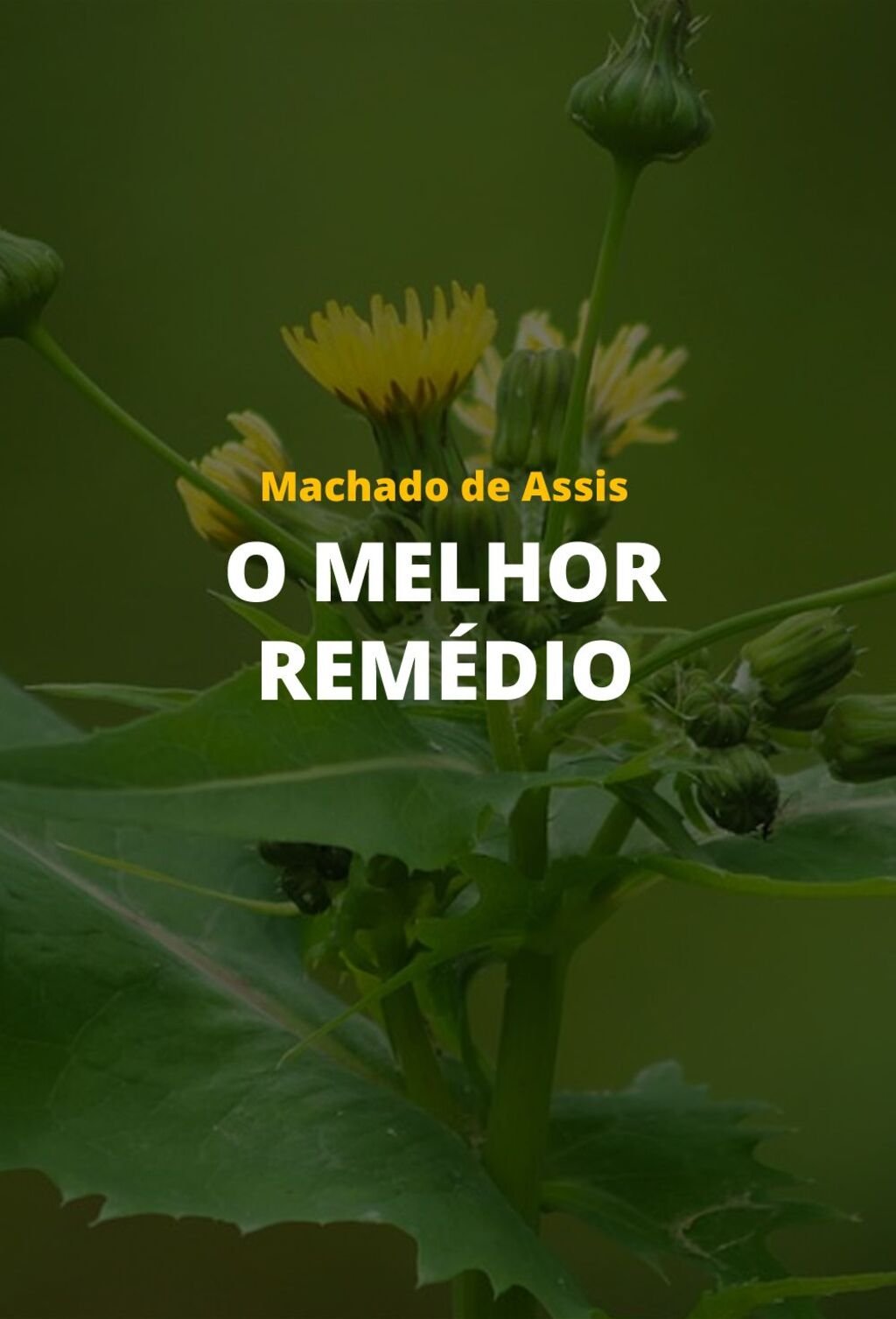 O Melhor Remédio