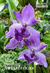 Mestre das Orquídeas