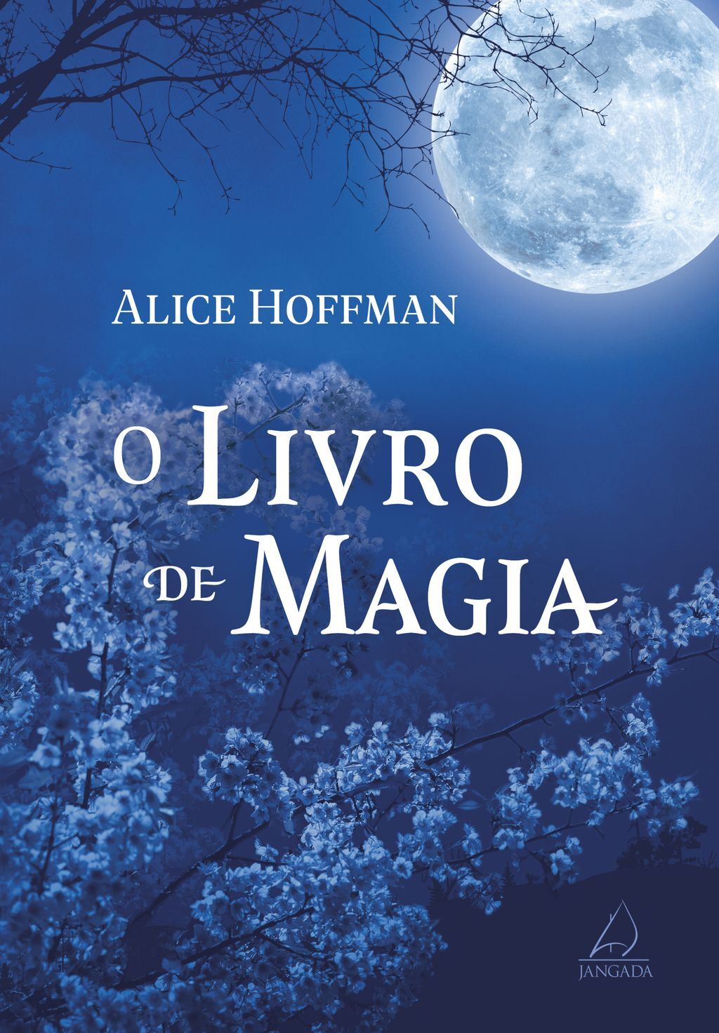 O livro de magia