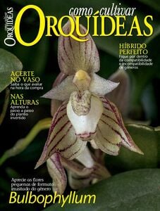 Como Cultivar Orquídeas