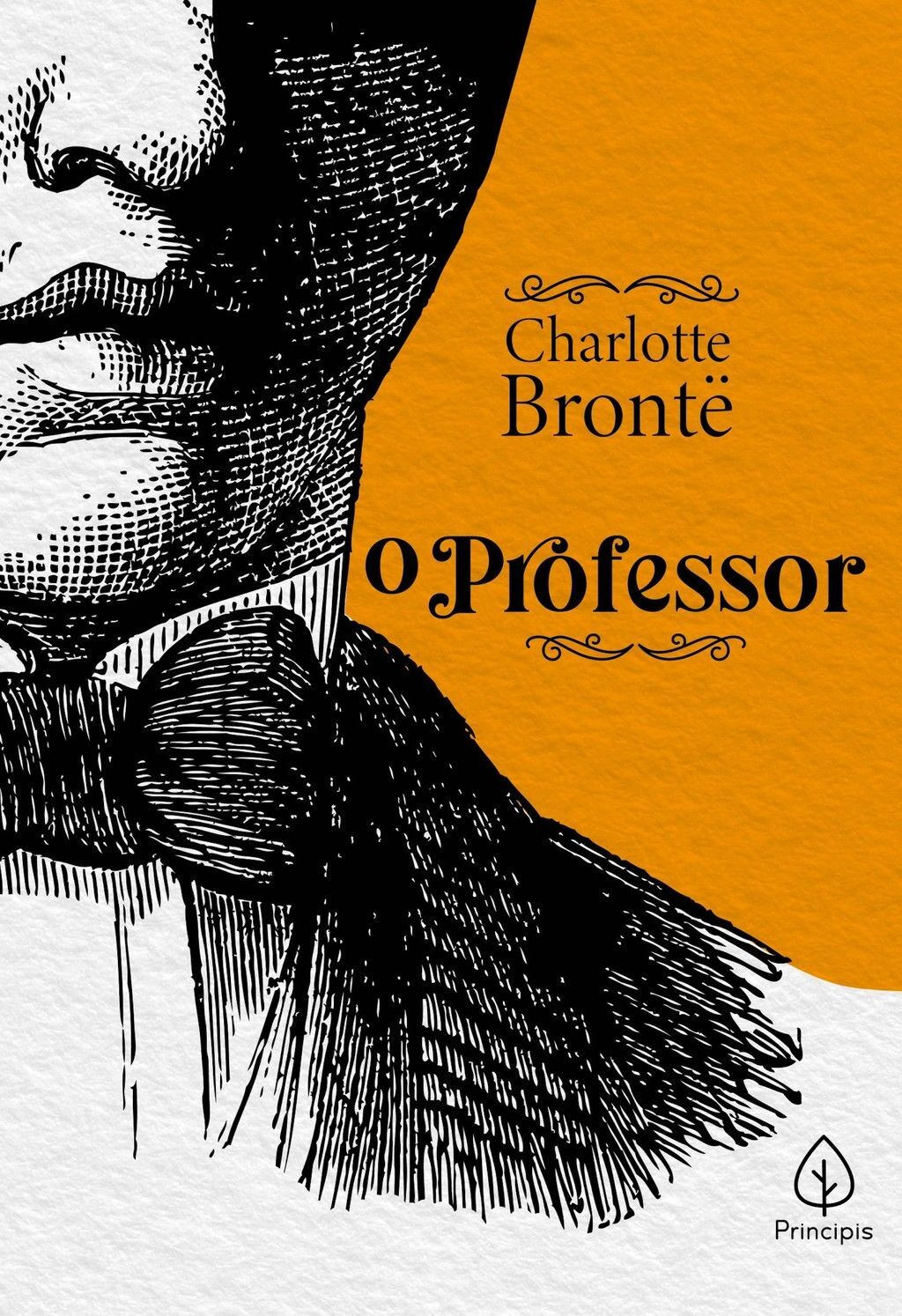 O professor