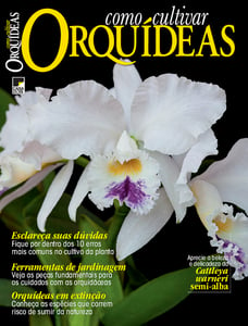 Como Cultivar Orquídeas