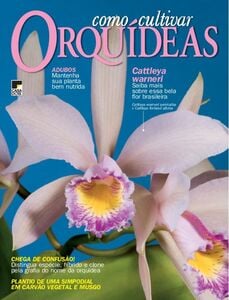 Como Cultivar Orquídeas