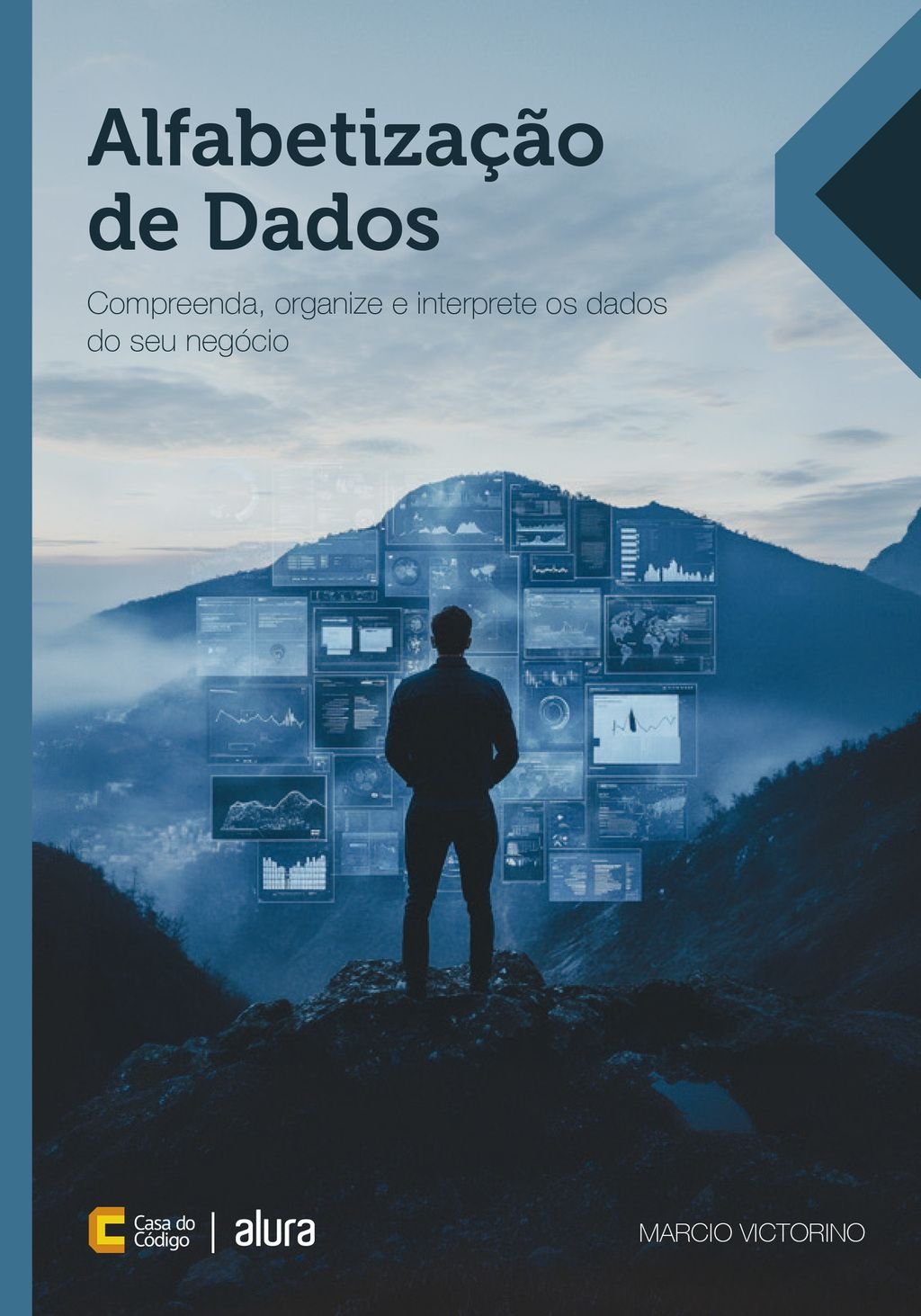 Alfabetização de Dados