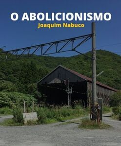 O Abolicionismo