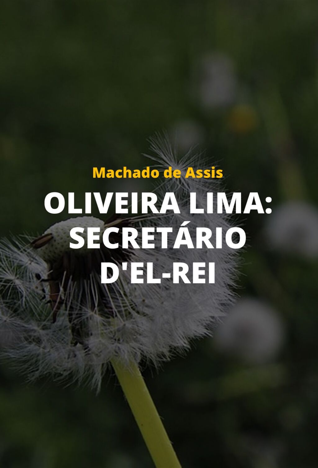 Oliveira Lima: Secretário d'el-rei