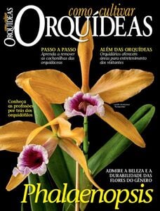 Como Cultivar Orquídeas