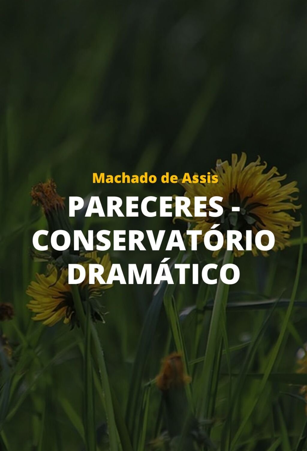 Pareceres - Conservatório Dramático