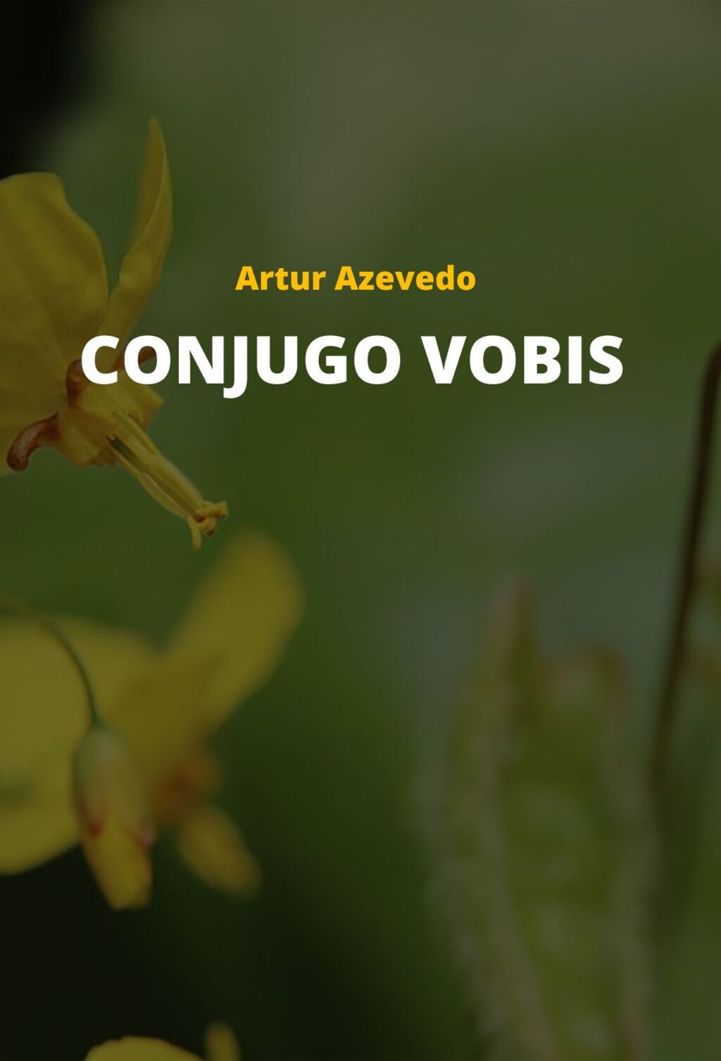 Conjugo Vobis