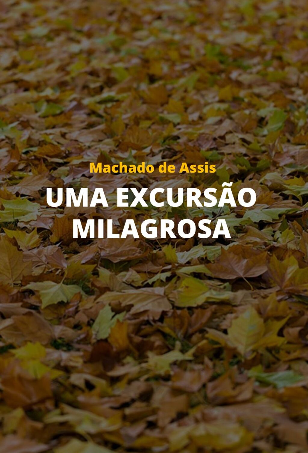 Uma excursão milagrosa