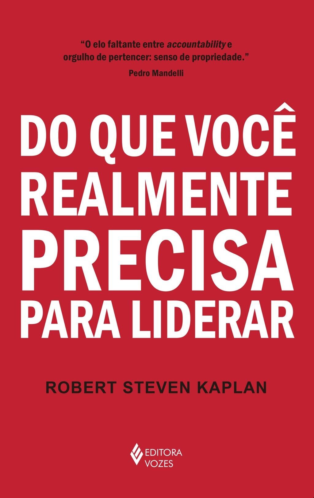 Do que você realmente precisa para liderar