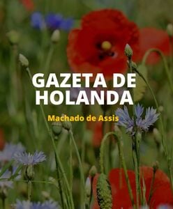 Gazeta de Holanda