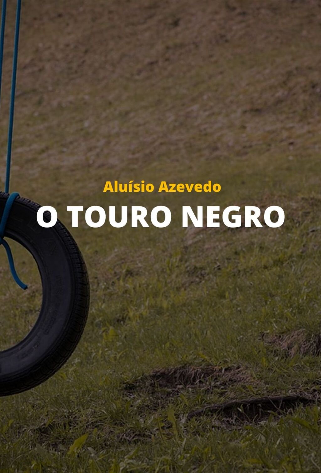 O Touro Negro