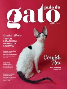 Pulo do Gato