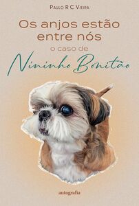 Os anjos estão entre nós