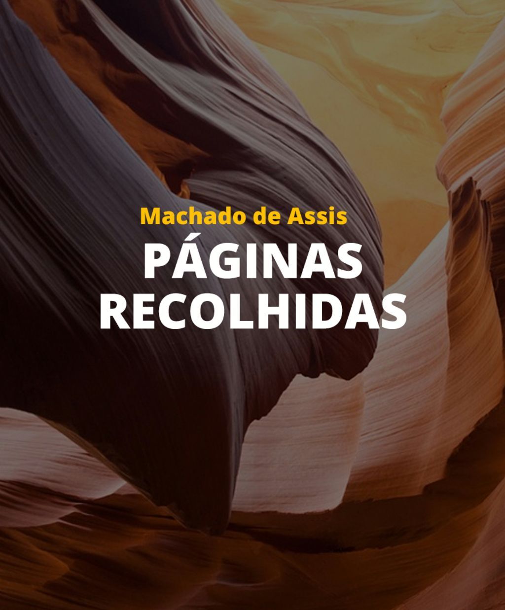 Páginas recolhidas