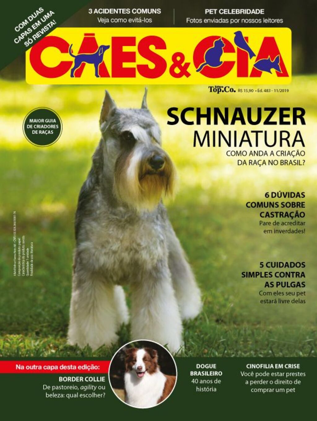 Os benefícios do agility para cães - Revista Cães & Cia