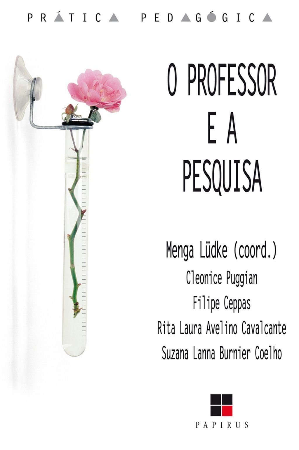 O Professor e a pesquisa