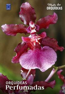 Mestre das Orquídeas