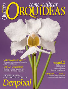 Como Cultivar Orquídeas