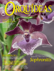 Como Cultivar Orquídeas