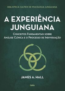 A experiência junguiana