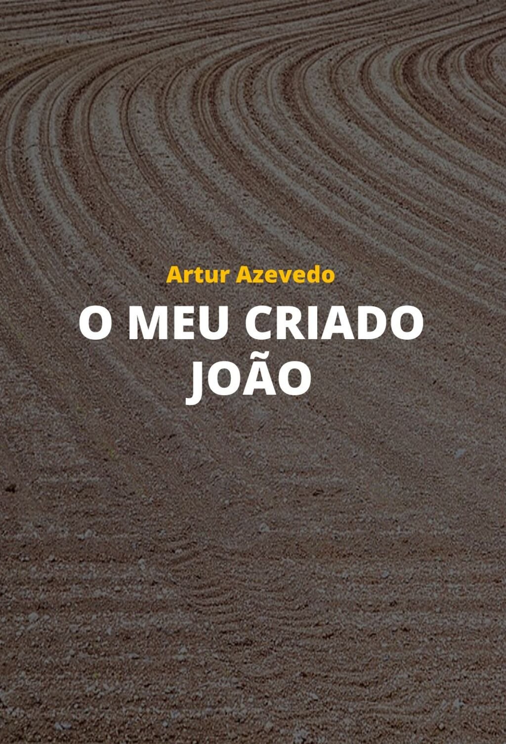 O Meu Criado João