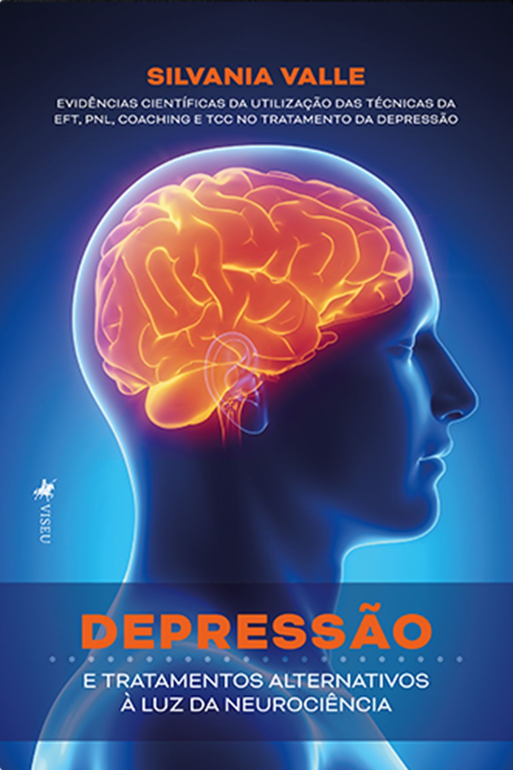 Depressão e Tratamentos Alternativos à Luz da Neurociência