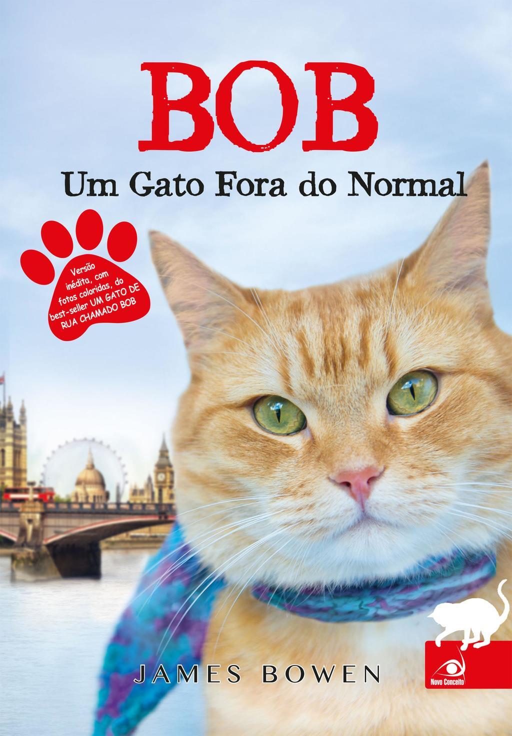 Bob, um gato fora do normal