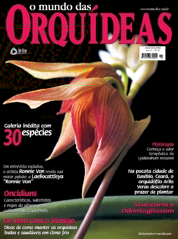 O Mundo das Orquídeas