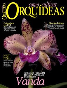 Como Cultivar Orquídeas