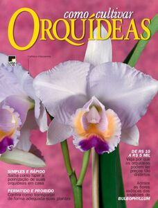 Como Cultivar Orquídeas