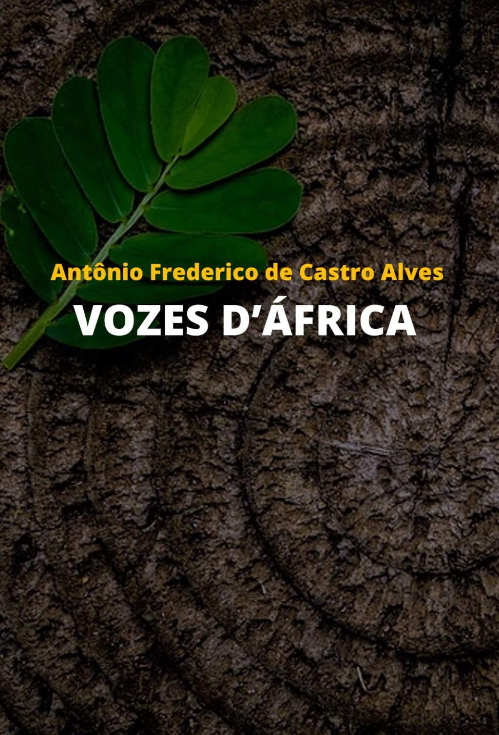 Vozes d’África